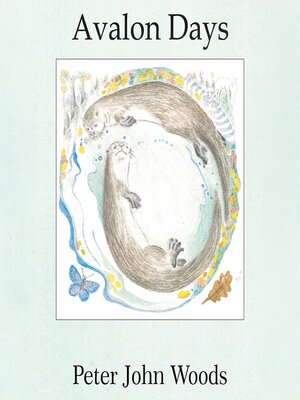 cover image of Avalon Days